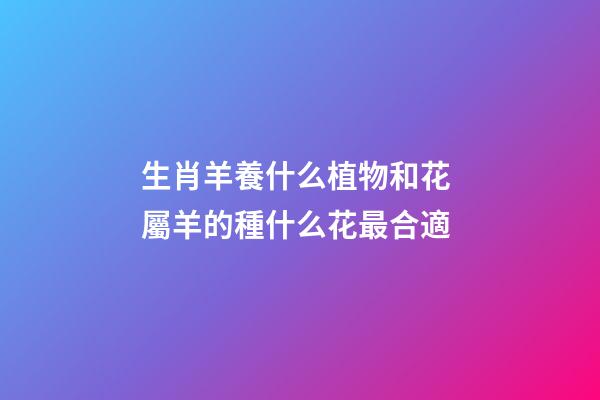 生肖羊養什么植物和花 屬羊的種什么花最合適-第1張-觀點-玄機派